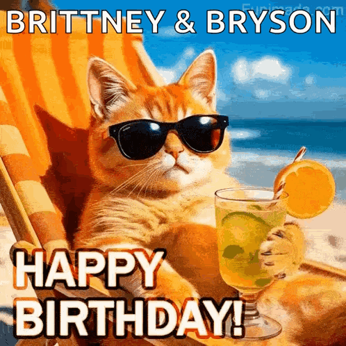 A Cat Wearing Sunglasses And Holding A Drink On The Beach . GIF