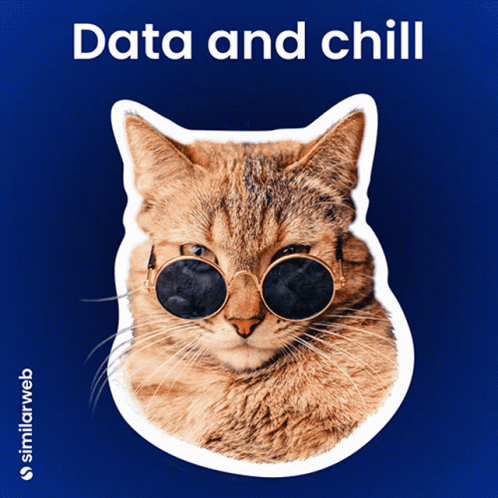 A Cat Wearing Sunglasses And The Words Data And Chill GIF