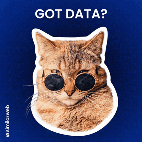 A Cat Wearing Sunglasses Is On A Blue Background With The Words Got Data Below It GIF