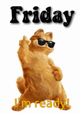 A Cat Wearing Sunglasses Says Friday I M Ready GIF