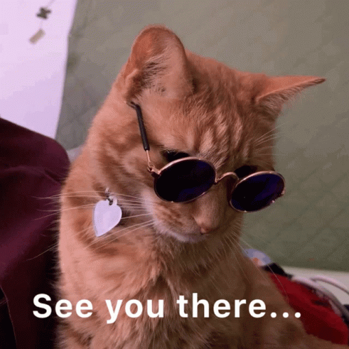 A Cat Wearing Sunglasses Says " See You There " On The Bottom GIF