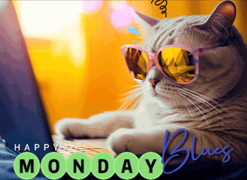 A Cat Wearing Sunglasses Sits In Front Of A Laptop With The Words Happy Monday Blues Behind It GIF