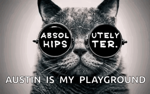A Cat Wearing Sunglasses That Say Absol Hips GIF