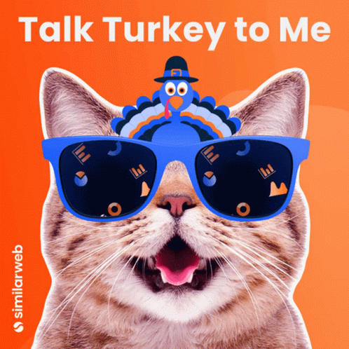 A Cat Wearing Sunglasses With A Turkey On Its Head And The Words Talk Turkey To Me GIF