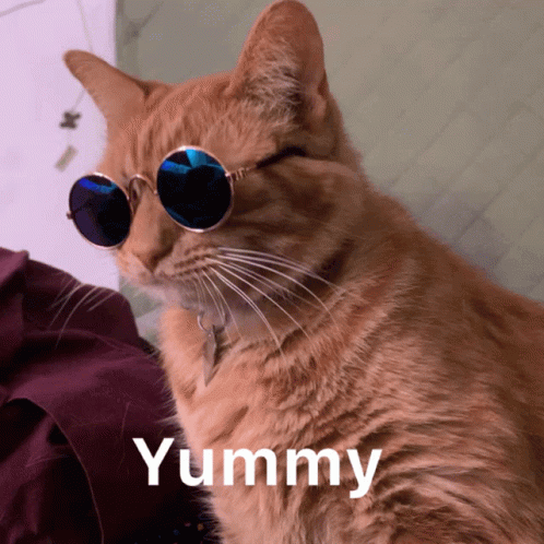 A Cat Wearing Sunglasses With The Word Yummy Written Below It GIF