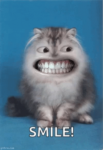 A Cat With A Big Smile On Its Face And The Words Smile Below It GIF