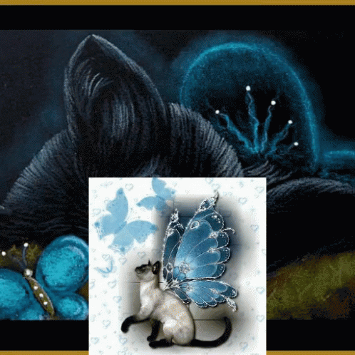 A Cat With A Blue Butterfly On Its Back Sits In Front Of A Blue Flower GIF