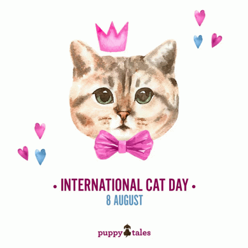 A Cat With A Bow Tie And A Crown On Its Head Says International Cat Day 8 August GIF