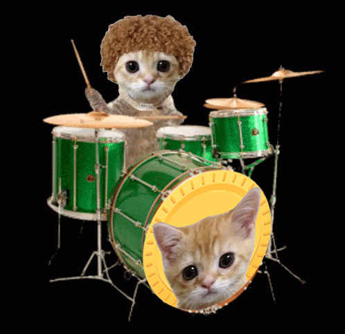 A Cat With A Curly Afro Playing Drums With A Kitten In A Drum Set GIF