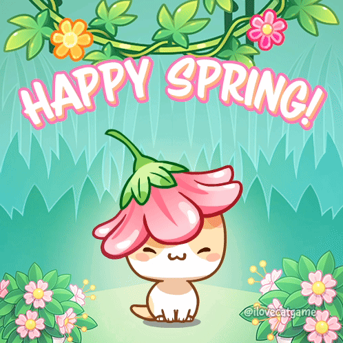 A Cat With A Flower On Its Head And The Words Happy Spring Behind It GIF