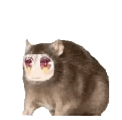 a cat with a girl 's face on it 's face is sitting on a white background .