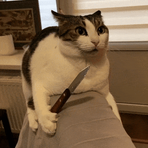 A Cat With A Knife In Its Paw Sitting On Someone 'S Lap GIF