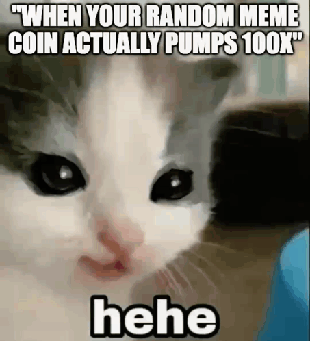 A Cat With A Meme That Says When Your Random Meme Coin Actually Pumps 100X . GIF