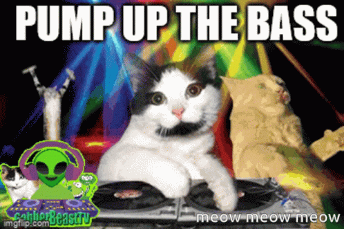 A Cat With A Mustache Is Sitting In Front Of A Dj Booth With The Words Pump Up The Bass Meow Meow Meow GIF