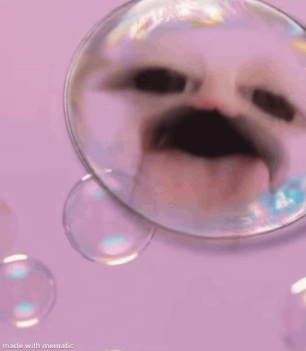 A Cat With A Mustache Is Surrounded By Soap Bubbles On A Purple Surface . GIF