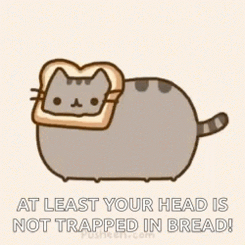 A Cat With A Piece Of Bread On Its Head Says At Least Your Head Is Not Trapped In Bread ! GIF