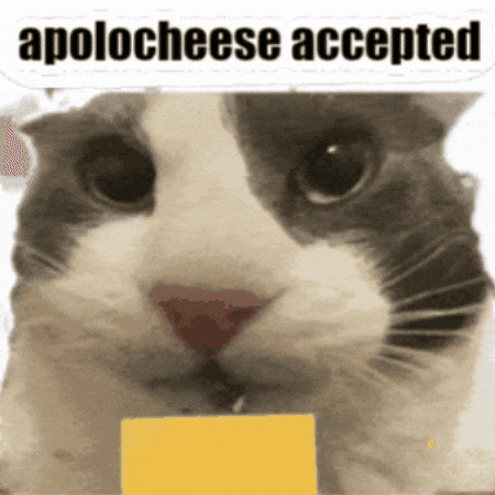 Cat With Cheese Saying Apologese Accepted GIF