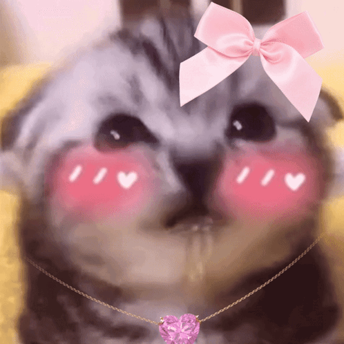 A Cat With A Pink Bow On Its Head And A Pink Heart Necklace GIF