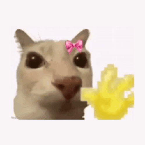 A Cat With A Pink Bow On Its Head Is Eating A French Fry . GIF