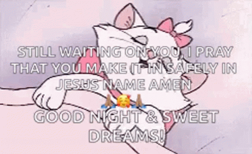 A Cat With A Pink Bow On Its Head Is Laying On A Person 'S Lap And Says Good Night And Sweet Dreams GIF