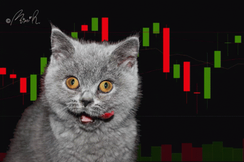 A Cat With A Red Tongue Sticking Out In Front Of A Stock Chart With The Letters M And H Visible GIF