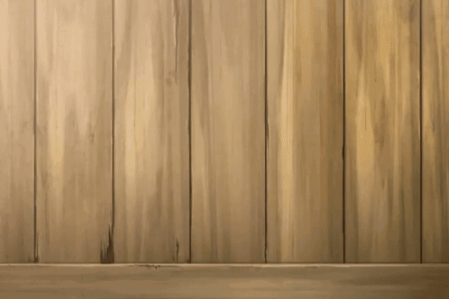 A Cat With A Red White And Blue Ribbon Around Its Neck GIF