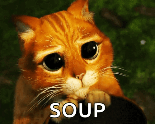 A Cat With A Sad Look On Its Face And The Word Soup Written Below It GIF