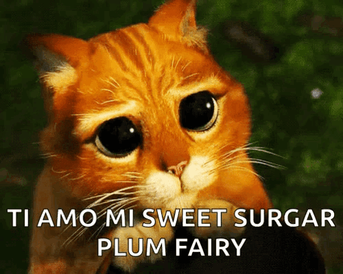 A Cat With A Sad Look On Its Face And The Words Ti Amo Mi Sweet Surgar Plum Fairy GIF