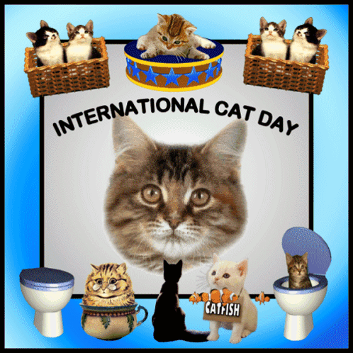 A Cat With A Sign That Says Catfish Surrounded By Other Cats GIF