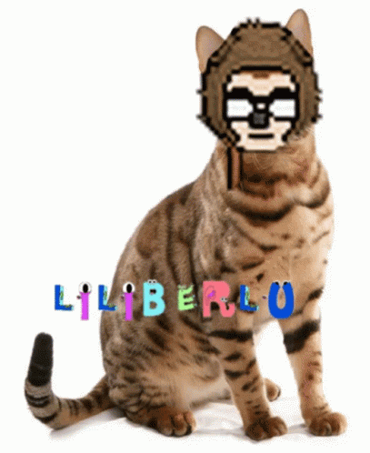 A Cat With A Sloth On Its Head And The Word Liberlu Written On It GIF