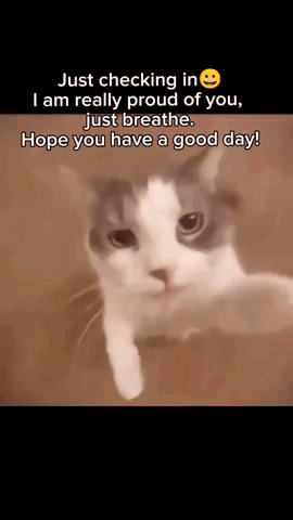 a cat with a smiley face on its face says just checking in i am really proud of you .