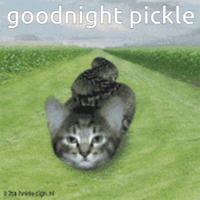 A Cat With A Snake On Its Back And The Words Goodnight Pickle GIF