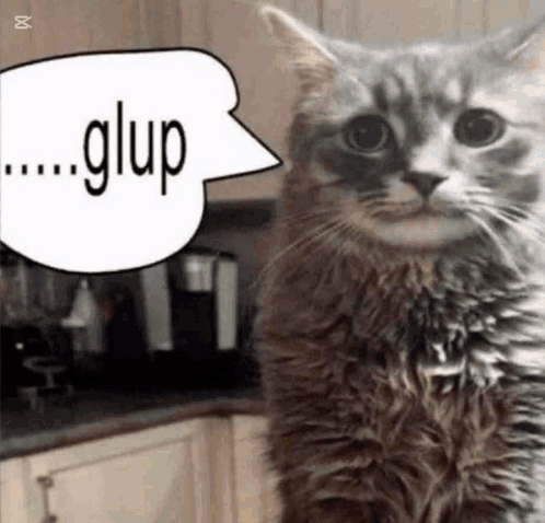 A Cat With A Speech Bubble Saying Glup GIF