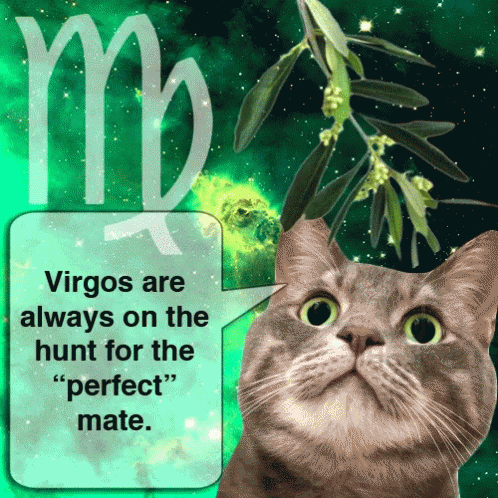 a cat with a speech bubble saying virgos are always on the hunt for the " perfect " mate