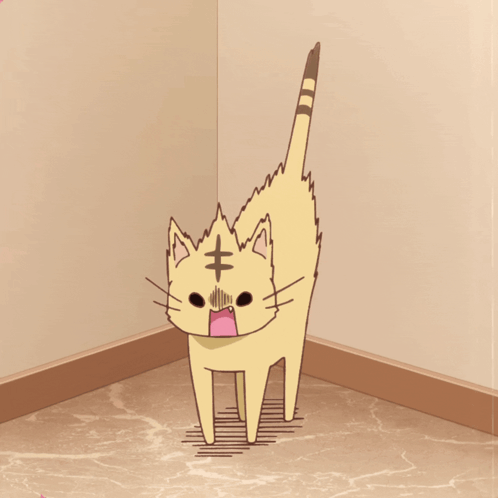 A Cat With A Surprised Look On Its Face GIF