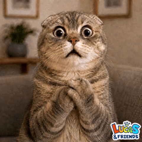 a cat with a surprised look on its face and a lucas & friends logo