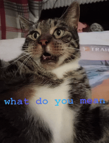 A Cat With A Surprised Look On Its Face And The Words What Do You Mean Behind It GIF