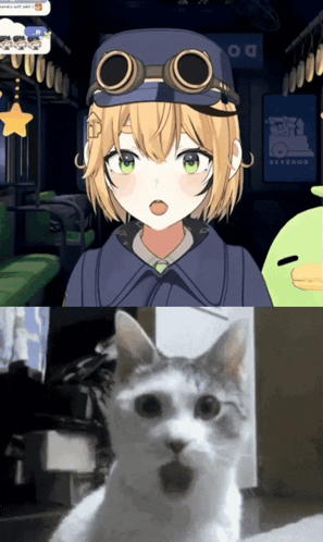 A Cat With A Surprised Look On Its Face Next To A Girl With Goggles On Her Head GIF