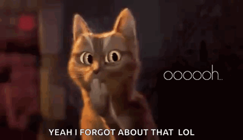 A Cat With A Surprised Look On Its Face Says Yeah I Forgot About That Lol . GIF