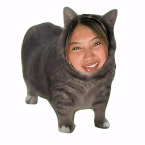 A Cat With A Woman 'S Face On It 'S Head GIF