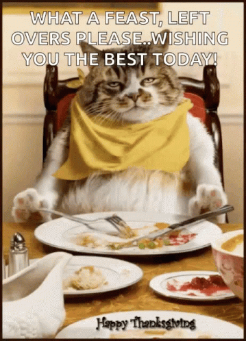 A Cat With A Yellow Scarf Around Its Neck Sits At A Table With Plates Of Food And A Happy Thanksgiving Greeting GIF