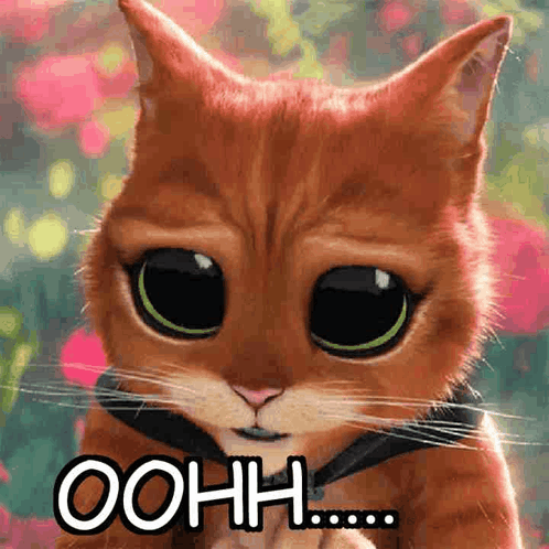 A Cat With Big Eyes And The Word Oohh Written On It GIF