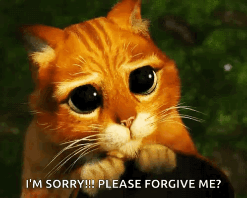 A Cat With Big Eyes Is Asking For Forgiveness GIF