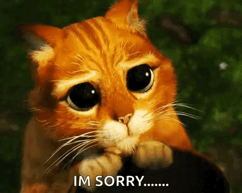 A Cat With Big Eyes Is Saying Im Sorry .. GIF