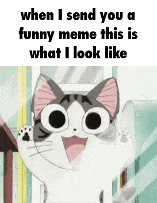 A Cat With Big Eyes Is Smiling And Looking At The Camera . GIF