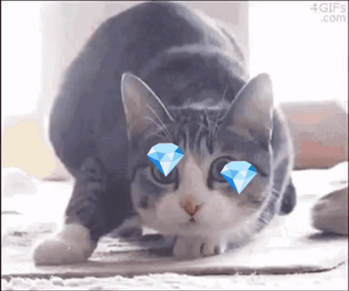 A Cat With Diamonds In Its Eyes Is Bending Over On The Floor . GIF