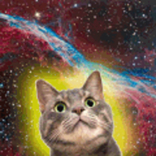 Green-Eyed Cat Looking Up At Colorful Galaxy GIF