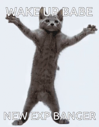 A Cat With Its Arms Outstretched And The Words Wake Up Babe New Exp Banger Below It GIF