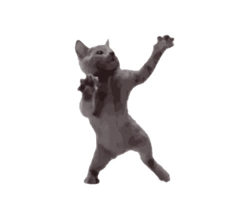 a cat with its arms outstretched is standing on its hind legs