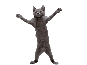 a cat with its arms outstretched is standing on its hind legs